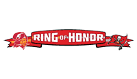 Tampa Bay Buccaneers Ring of Honor Logo's thumbnail