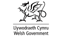 Download Llywodraeth Cymru Welsh Government Logo