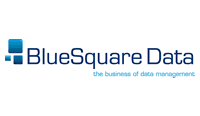 Blue Square Data Logo's thumbnail