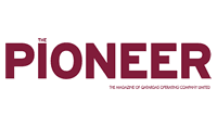 The Pioneer Logo's thumbnail